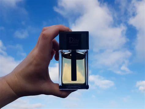 6 Fragrances Similar To Dior Homme Intense